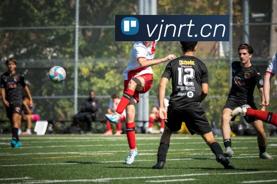 乐鱼官方体育网站品牌故事