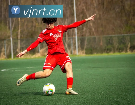 乐鱼官方体育网站服务体系